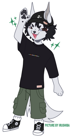 ddgdrg